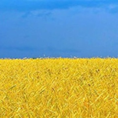 Даша Пушкарева, 31.12.1988, Киев