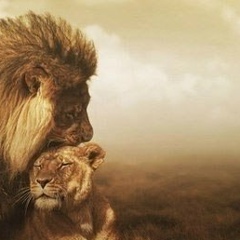 Syrlan Nurbaev, 31.12.1990, Алматы