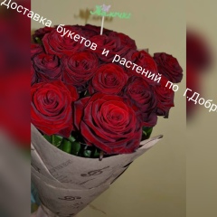 Екатерина Никулина, Доброполье