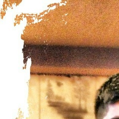 Александр Кукуруку, 01.01, Москва