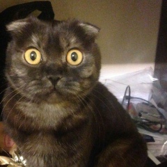 Владимир Чернов, 01.05, Владивосток