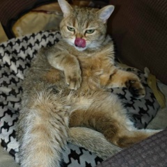 Саня Чикарь, 09.01.1993, Москва