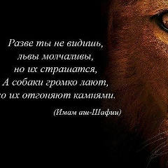 Дмитрий Кибатуллин, Алматы