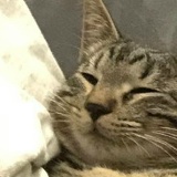 Григорий Ворожцов, 24.03