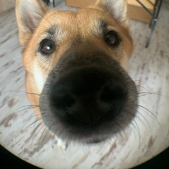 Artem Alexandrow, Москва