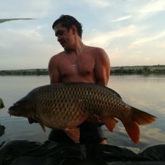 Роман Колышев, 31.03.1986, Подольск