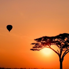 Анжела Кливец, 02.03, Москва