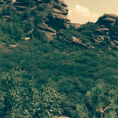 Денис Юрьевич, 19.01, Барнаул