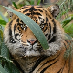 Татьяна Глебова, 03.03, Челябинск