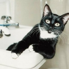 Радмир Буляккулов, 11.02, Стерлитамак