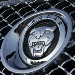 Даменик Колесник, 10.08, Гродно