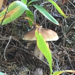 Марина Смертина, 19.02.1979, Санкт-Петербург