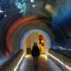 Александра Орлов, 24.02