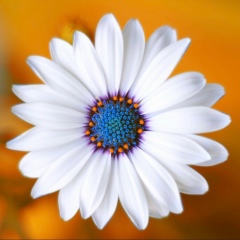 Виктория Мигидюк, 01.05