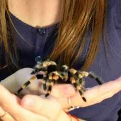 Марія Сергіївна, 27.04.2002, New Orleans