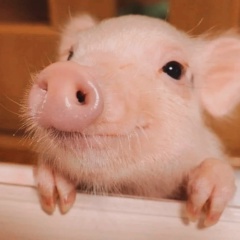 Дарья Веснушкин, 01.02, Рига