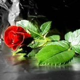 Vahid Huseynli, Гянджа