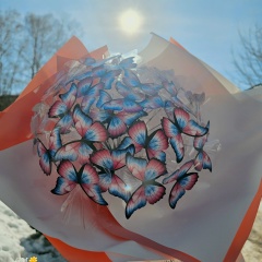 Галина Михайлова, 11.07, Вязьма