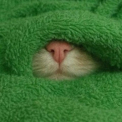 Юлия Мельник, 20.11, Москва