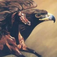 Расул Таваев, 31.10.1982, Дагестанская