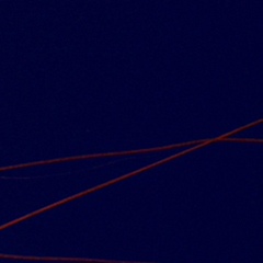 Аапррпкпр Епыарвафрофав