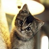 Павел Семенов, 01.11.1985, Алчевск