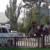 Александр Москалёв, Санкт-Петербург