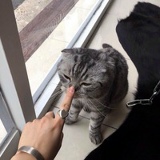 Заира Мальсагова, 01.06, Москва