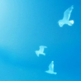 Наталья Ключка, 02.01.1985, Лозовая