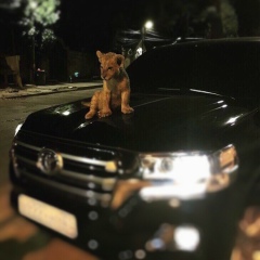 Арни Садуакас, 28.07, Алматы