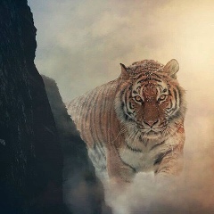 Темирлан Хасанов, 27.09, Москва