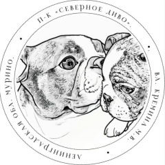 Марина Кремина, 18.07.1964, Санкт-Петербург