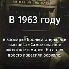 Sergei Уарабей, 17.07.1984, Москва