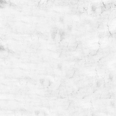 Алексей Гусев, Санкт-Петербург