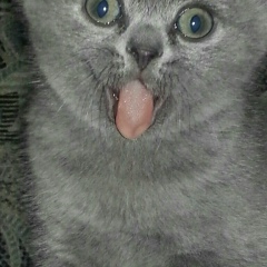 Жека Норяк, 03.09, Лабытнанги