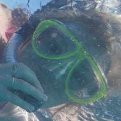 Елена Грицай