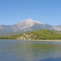 Алиса Гиззатуллина, 27.04, Казань