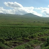 Карина Саруханова, 22.07, Санкт-Петербург