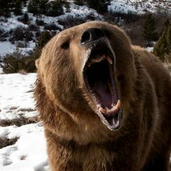 Алексей Стародуб, 04.02.1992, Владивосток