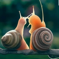 Диана Турсумбекова, 31.07.1983, Актобе