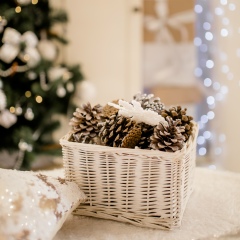 Елена Дашковская, 11.01.1987, Черноморск / Ильичевск