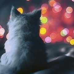 Надя Королева, 01.01, Нижний Новгород