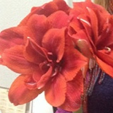 Тамара Свердло, 08.02