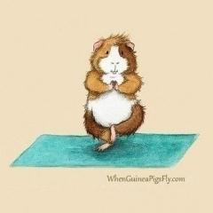 Сергей Соколенко, 24.11.1975, Санкт-Петербург