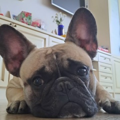 Екатерина Самсонова, 30.10.1983, Москва