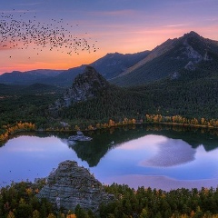 Gul'chekhra Mominova, Шымкент