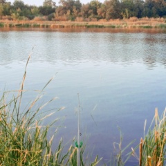 Сергей Борисов, 10.07.1998
