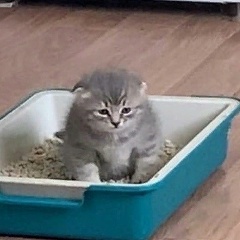 Рамазан Абайдулла, 19.12.1999, Алматы