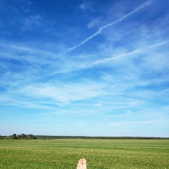 Егор Стрелов, 31.12