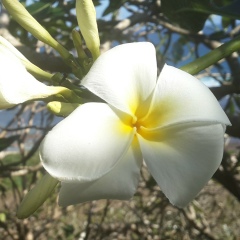 Илья Кусок, 12.11.1980, Санкт-Петербург